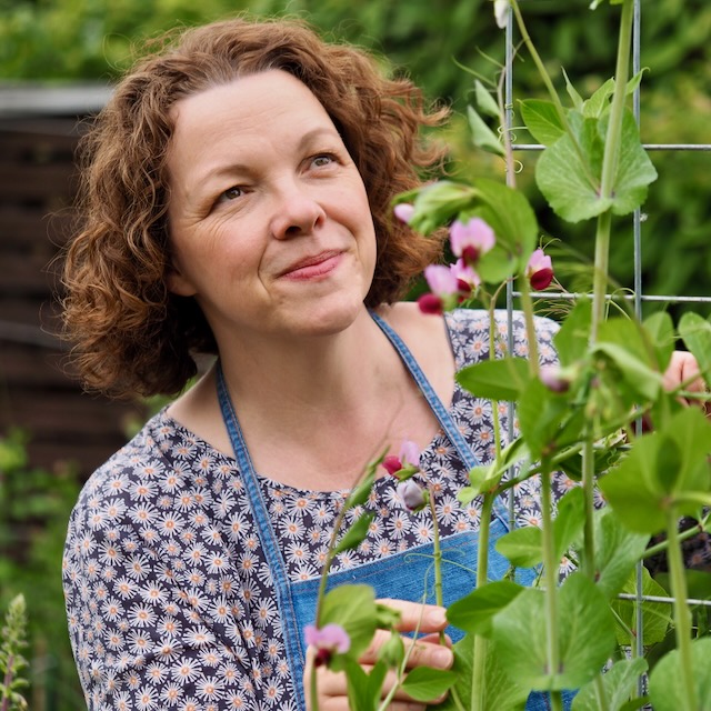 ulie, a backyard gardener, tending to blooming pea plants in her garden.
