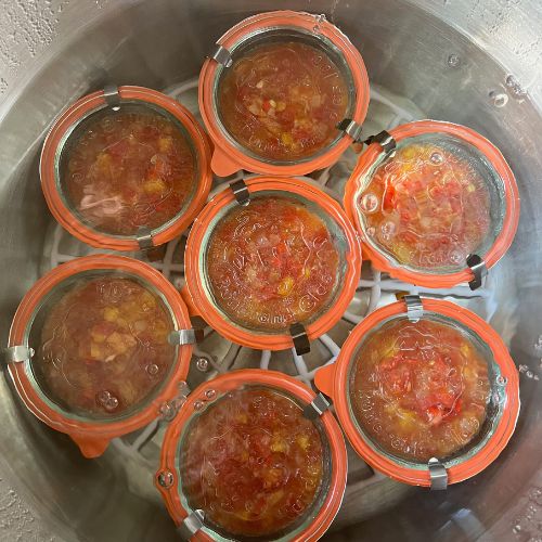 Jars of tomato salsa in boiling water bath canner