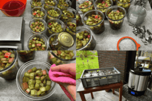 Step-by-step German water bath canning with rhubarb: filling jars, wiping rims, adding rubber seals and clips, and processing jars in an electric canner.