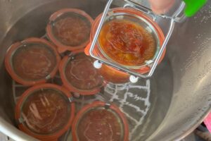 Removing a jar of salsa from the electric canner