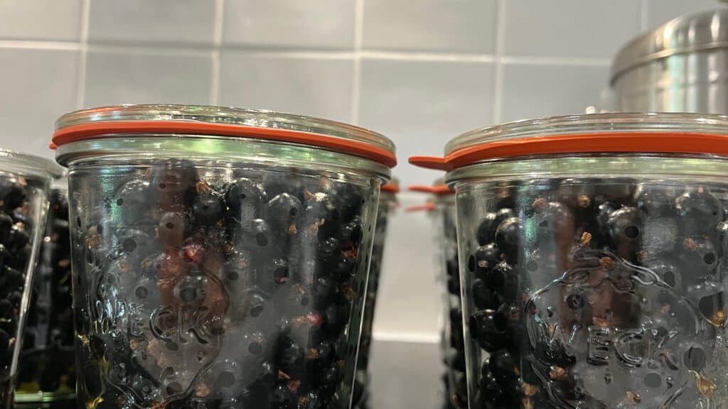 Canning-with-Weck-jars - 12 Jar of black currants with lid and seal properly seated (left) and improperly seated (right)