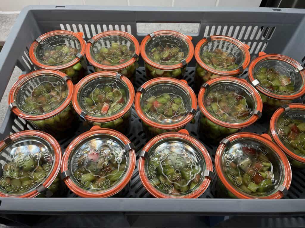 Canning-with-Weck-jars - 13 Euro crate full of jars of rhubarb chunks ready for processing