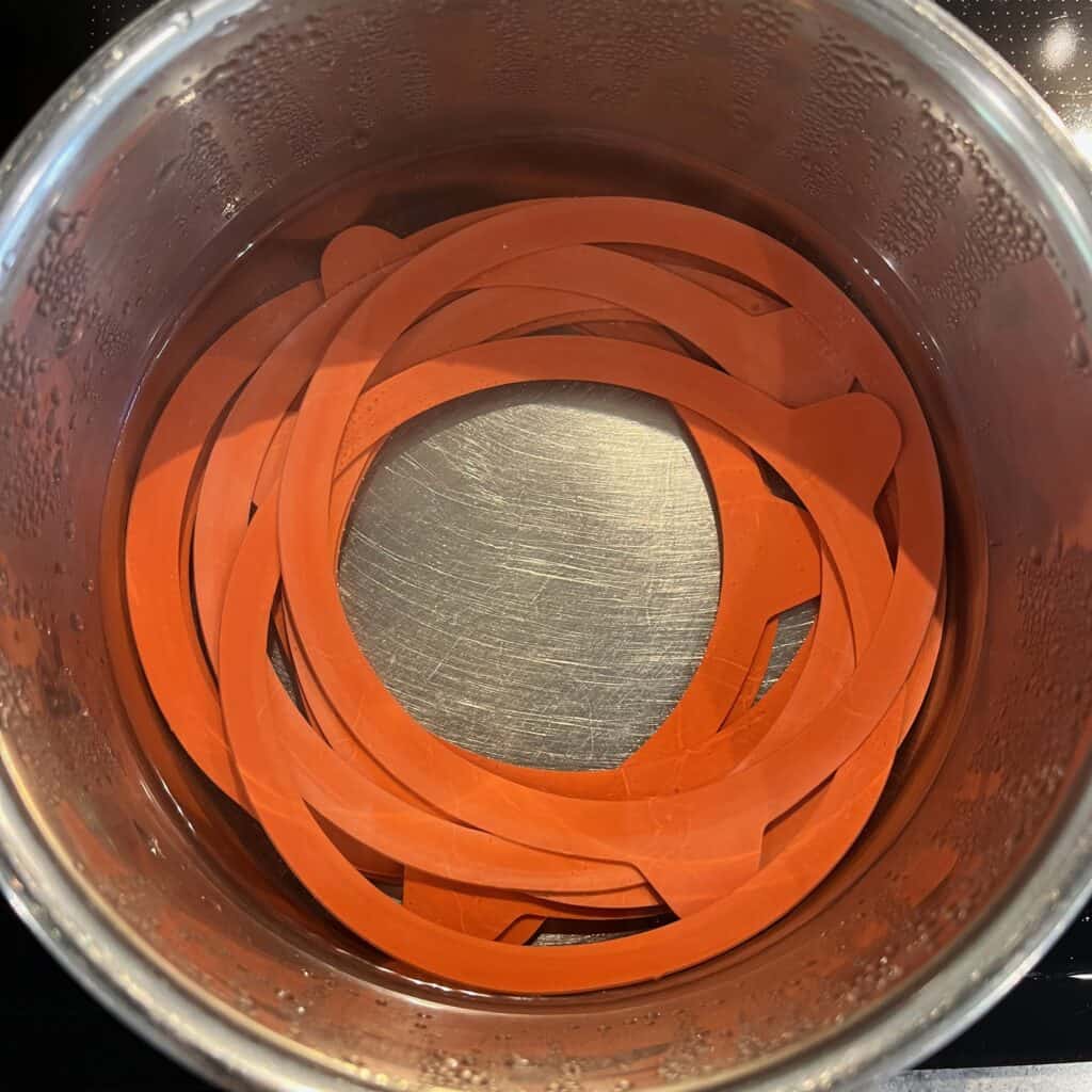 Canning-with-Weck-jars - 2 Weck rubber seals in a pot of water before use