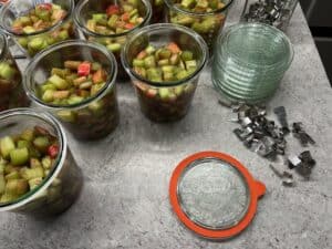 Jars of rhubarb chunks, Weck jar lids, seal, and clamps on the kitchen counter.